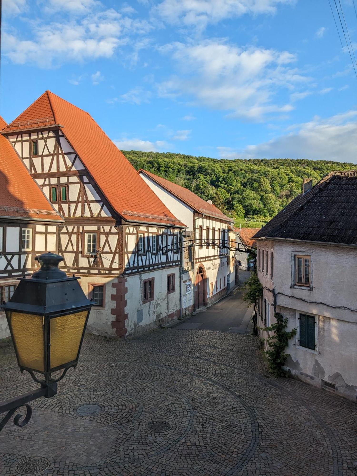 Im Kraemerladen Neustadt an der Weinstraße المظهر الخارجي الصورة